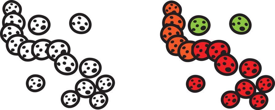 Streptococcus Bacteria Chain Vector Icon Transparent Background Medical Concept