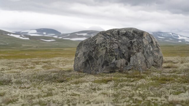 erratic. A massive glacial erratic rock embedded in a tundra landscape with lichen. travel magazines, destination branding, designed for travel destination branding, used by health educators.