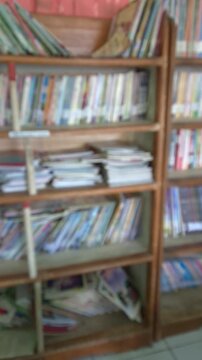Vertical blurred background of wooden bookshelves in library, abstract education concept