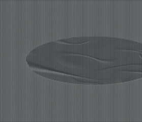 Fototapeta premium A close-up view of a dark gray oval object with ripples on its surface