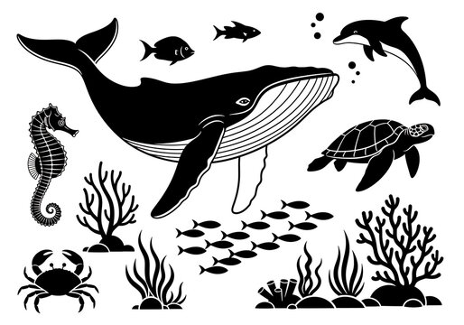 Black Whale Swimming with Fish Seahorse Turtle Crab Coral Reef Ocean