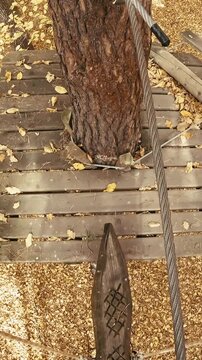 Climbing course high above ground in adventure park person POV 