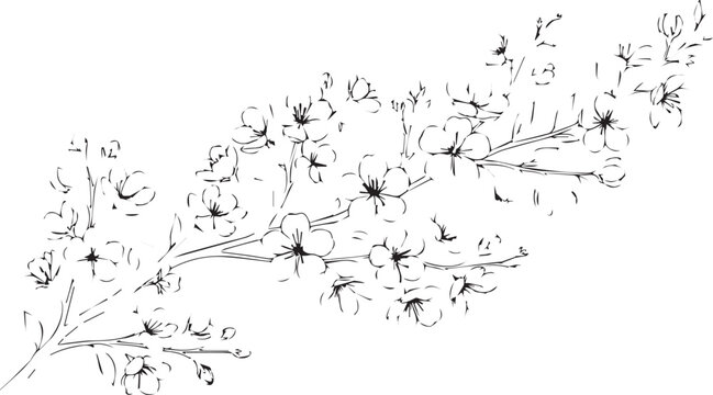 Hand drawn cherry blossom branch vector, minimalist black ink floral sketch, spring sakura tree flowers, elegant botanical line art illustration