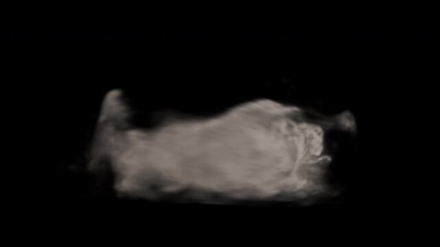 Dynamic Air Whirlwind Effect with Realistic Particle Motion