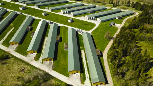 Aerial View of Industrial Poultry Chicken Farm Buildings and Hangars in the Countryside for Meat Production