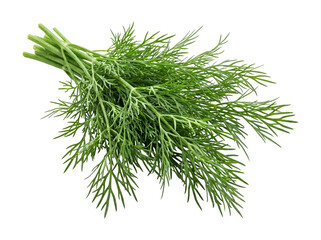 Dill isolated, isolated transparent background © Photo Find