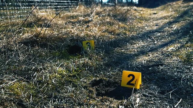 Crime Scene Markers Indicating Evidence on a Grassy Roadside Area During a Criminal Investigation