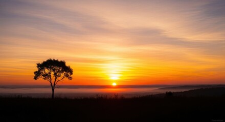 Fototapeta premium Serene Landscape with Tree at Sunset.