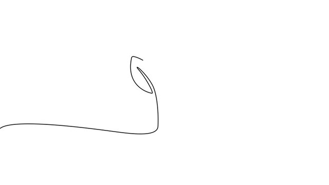 Continuous One Line Growing Plant Sprout Minimal Nature Leaf Animation