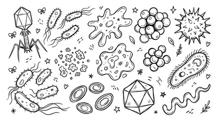 Fototapeta premium Various hand-drawn microorganisms, including bacteria, viruses, and amoebas, are scattered across a clean white background in a doodle style