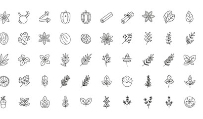 Spices and herbs line icon set vector illustration © Prodip