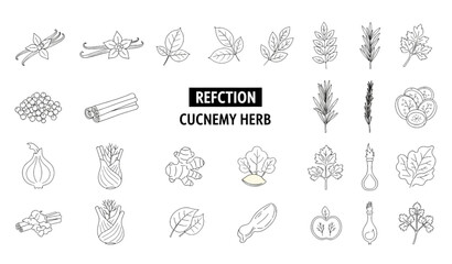 Modern culinary spices and herbs outline icon collection vector design © Prodip