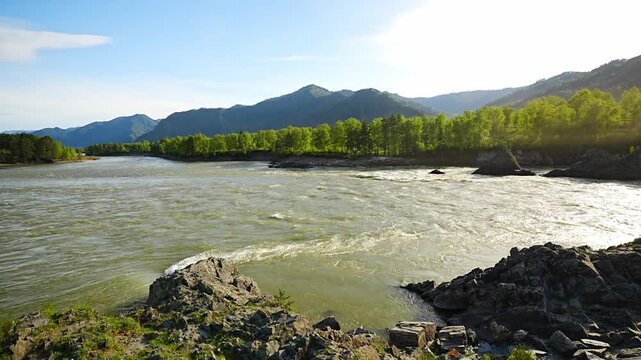 Dragon Teeth rocks in Katun River near Elekmonar Chemal Altai Republic Russia mountain landscape