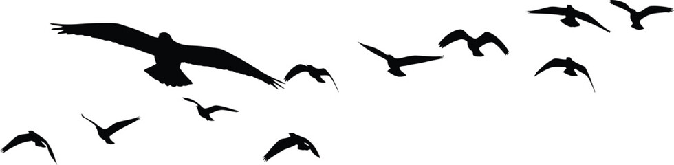 Obraz premium Black Birds Flying in Flock on White Background
