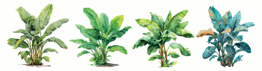 Watercolor tropical plants collection featuring green banana leaves and exotic foliage, creating a botanical illustration style for natural design elements © Mari