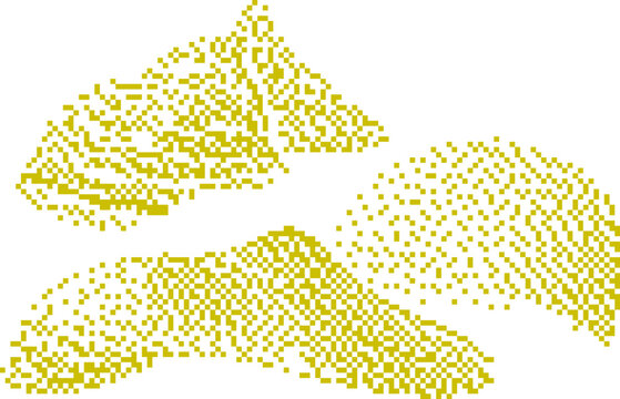 Golden Soybean Pods with Delicate Texture Against a Soft White Background
