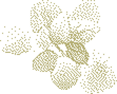 Hydrangea flower blossom in soft golden light with subtle pixelated effect for design