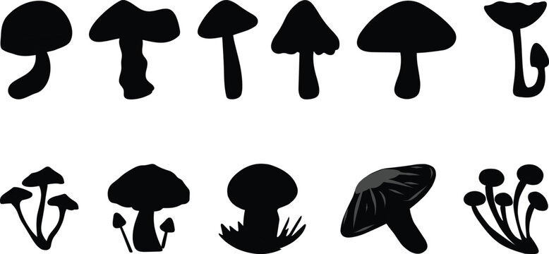 Mushroom Silhouettes Set Black Vector Collection Fungi Forest Botanical, black and white silhouette, vector and illustration.Sleek mushroom silhouette, minimalist graphic design perfect for print.