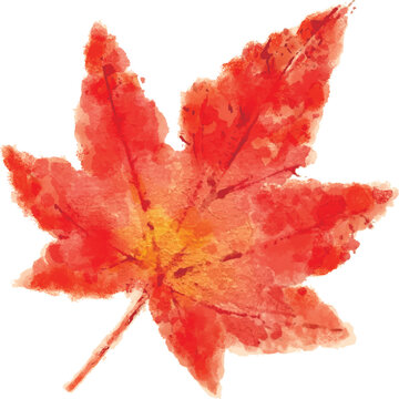 押し花のように描いた紅葉した楓の葉／Autumn maple leaves drawn like pressed flowers