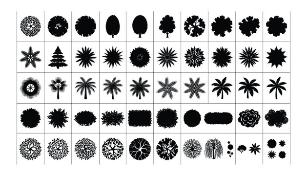 Diverse collection of tree top view symbols in black silhouette vector on transparent background.