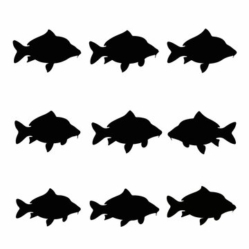 Artistic carp silhouette bundle featuring realistic freshwater fish poses