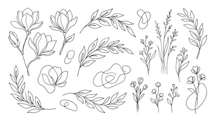 Minimalist botanical line art collection, elegant floral vector set with magnolia and leaves, hand drawn black ink flower sketches on white background © Dream Time Studio