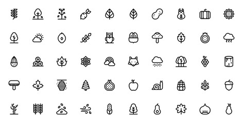 Autumn Nature icon set. Minimal line icon pack. Includes branch, tree, leaf, pumpkin, squirrel, acorn, mushroom, maple leaf, sunflower, apple, pear and more. Editable vector stroke. © wang