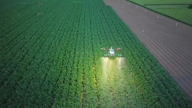 Agricultural Drone Spraying Pesticides or Fertilizer on a Green Field at Night