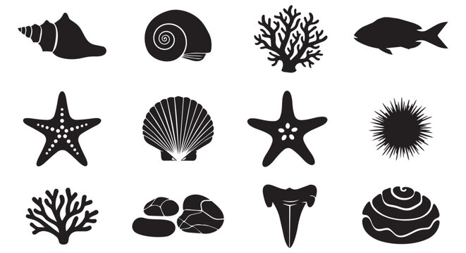 Seashell and marine life icon set. Professional black silhouettes for ocean creatures, beach elements, and tropical resort branding.