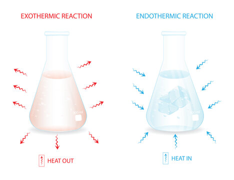 Exothermic and Endothermic Reaction Comparison Diagram with Heat Transfer Illustration.