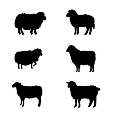 Livestock Black Sheep Silhouette Farming Graphic Icons © saad