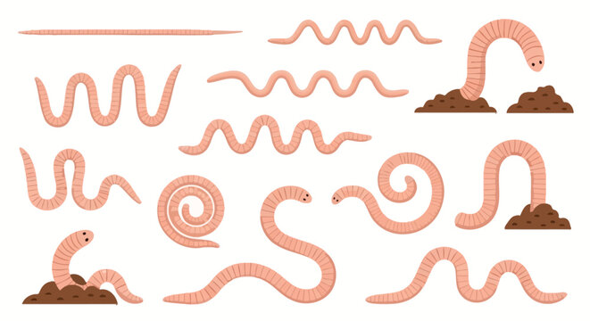 Worms, earthworms, worms in soil, cartoon worms, vermicomposting concept, background