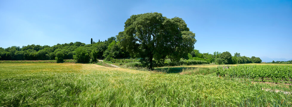 colline moreniche