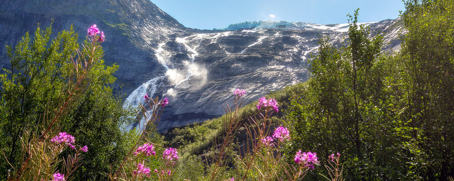 Pink wildflowers, glacier and waterfalls, Norway