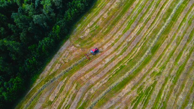 Stunning top down aerial shot of a tractor with a tedder raking mown hay for silage in a vast, picturesque agricultural field