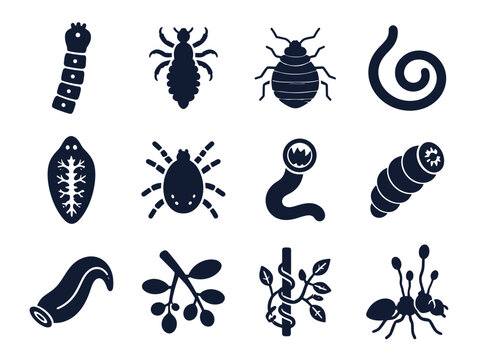 Bold Parasite Icon Set with Tapeworm Louse Bed Bug Tick Hookworm Leech Fluke Mistletoe and Zombie Ant Fungus Symbols