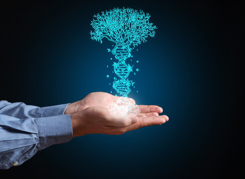 Human hands holding genetic tree dna helix forming life