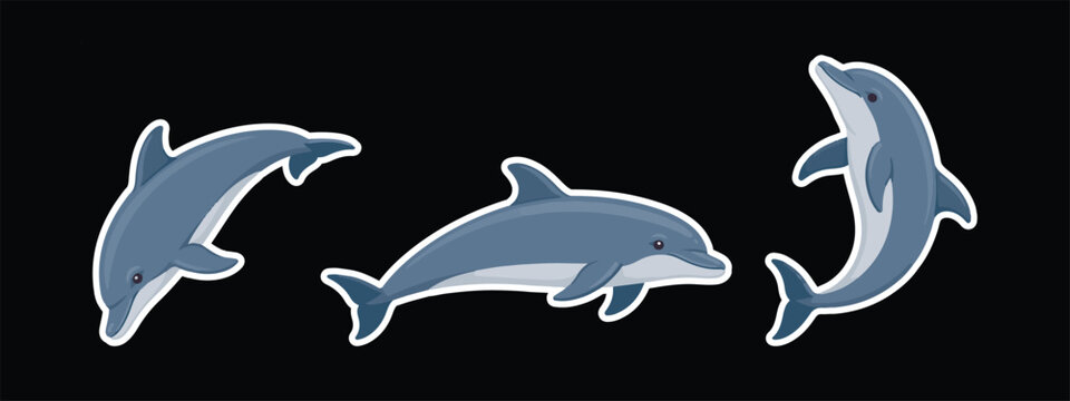 Swimming dolphins in ocean waves minimalist vector illustration on black background