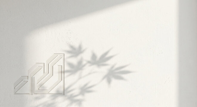 Minimalist white textured wall with a geometric relief pattern and soft maple leaf shadows