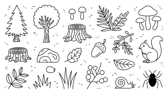 Woodland forest elements collection: trees stumps squirrel mushrooms acorns and more with hand drawn, woodland
