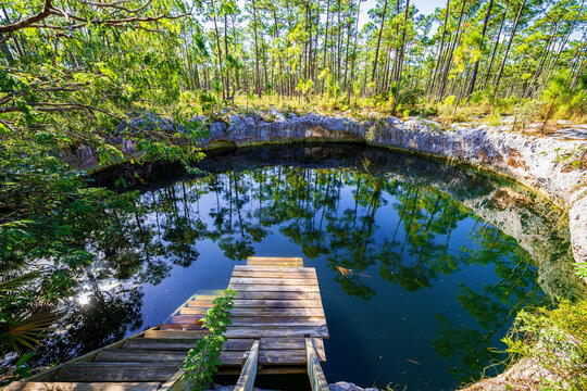Wooden dock leading into a crystal-clear blue hole surrounded by lush pine forest in South Abaco Blue Holes Conservation Area, Bahamas. Tropical freshwater sinkhole with reflections in calm water