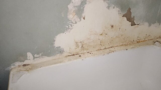 Old dirty moldy bathroom with peeling plaster and grimy bathtub, old video effect