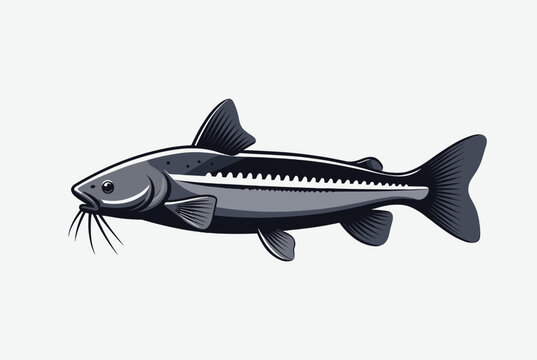 Side view illustration of a dark catfish with long whiskers and sharp fins swimming against a plain white background for aquatic themes.