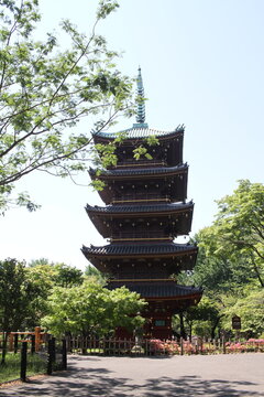 A traditional Japanese five story pagoda towering over green trees in Ueno Park.