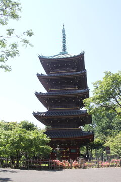 A majestic view of an ancient five story pagoda framed by fresh green leaves.