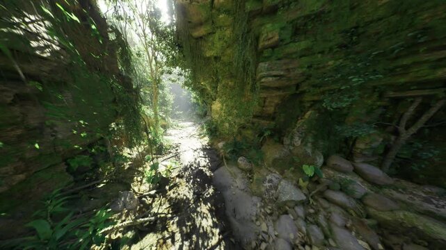 Golden hour canyon vista with warm light filtering through cliff gap, long shadows, lush foliage and reflective wet stones, atmospheric depth ideal