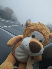 Por la carretera con amigos diferentes