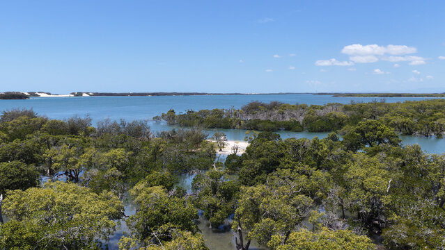 Aerial View of Mangrove Forest and Coastal Estuary on Stradbroke Island