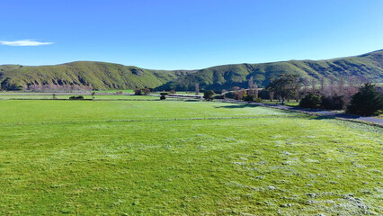 Fototapeta premium Aerial View of Green Fields and Rolling Hills in Akaroa New Zealand