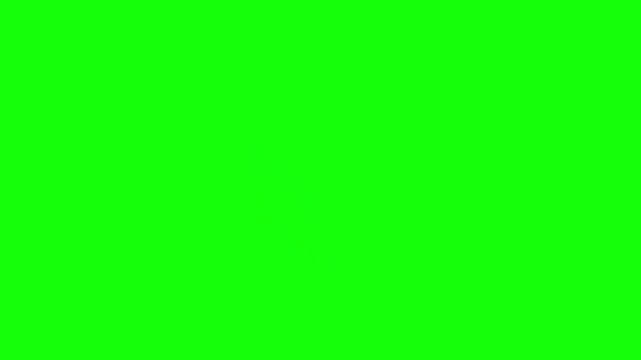 Engaging "Don't Miss Out!" messages presented in diverse animated styles on a clear green screen, ideal for compelling marketing campaigns and alerts.